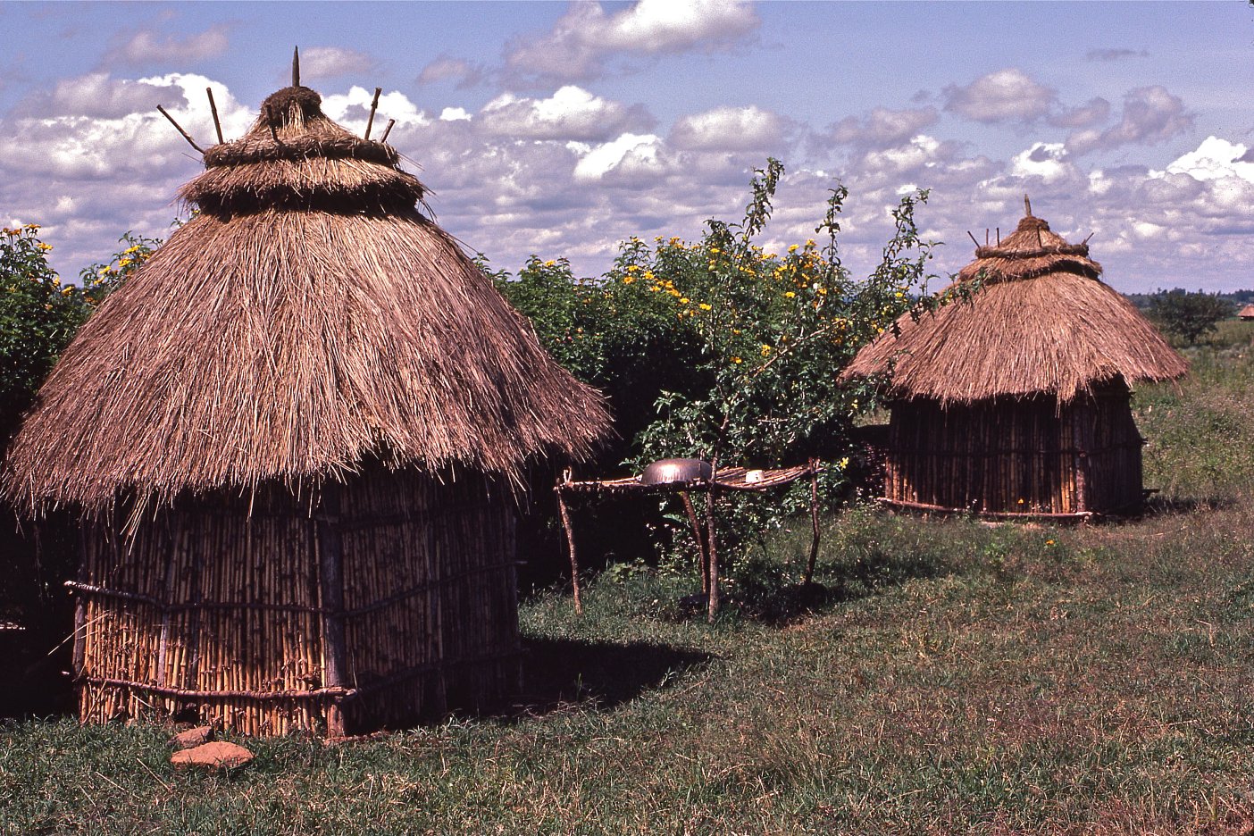  Types Of Houses In Kenya 